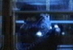 Pedro Almod&oacute;var en �Entre Tinieblas�